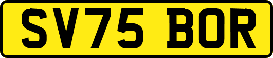 SV75BOR