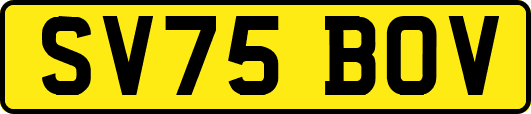 SV75BOV