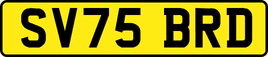 SV75BRD
