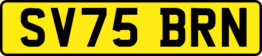 SV75BRN