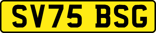 SV75BSG