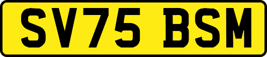 SV75BSM