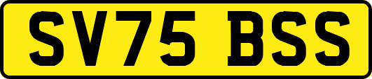SV75BSS