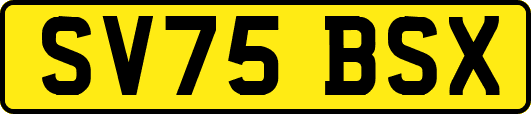 SV75BSX