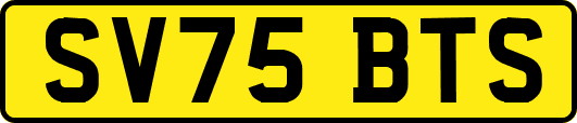 SV75BTS
