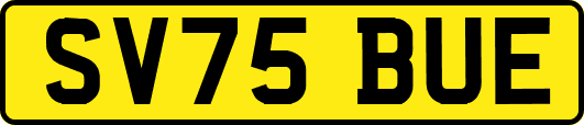 SV75BUE
