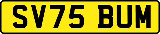 SV75BUM