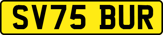SV75BUR