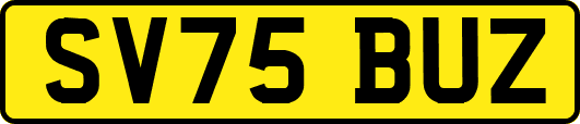 SV75BUZ