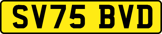 SV75BVD