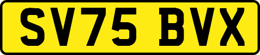 SV75BVX