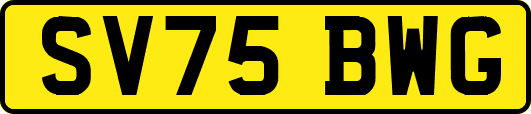 SV75BWG