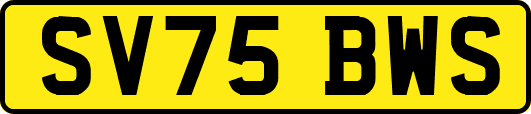 SV75BWS