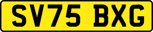 SV75BXG