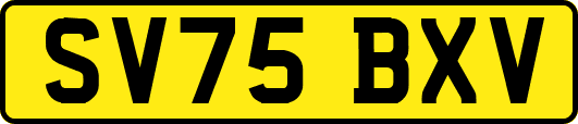 SV75BXV