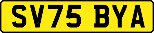SV75BYA