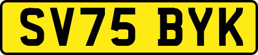 SV75BYK