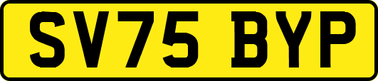SV75BYP