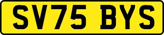 SV75BYS