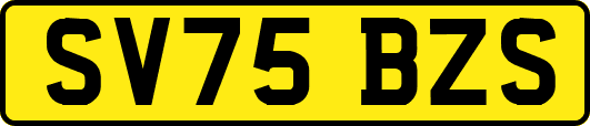SV75BZS