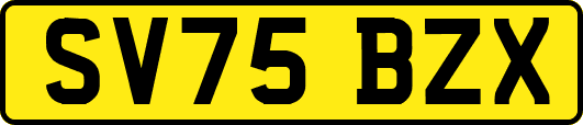 SV75BZX