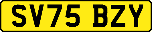 SV75BZY