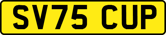 SV75CUP