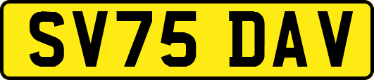 SV75DAV
