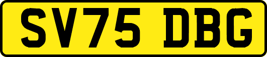 SV75DBG