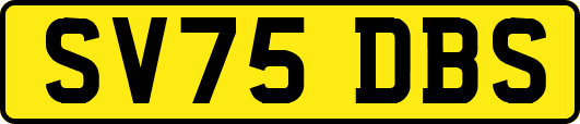 SV75DBS
