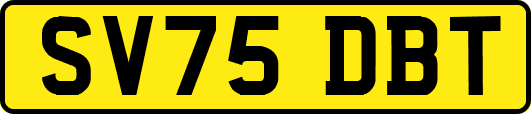 SV75DBT