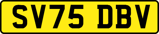 SV75DBV