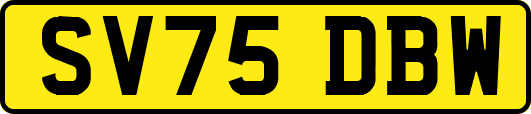 SV75DBW