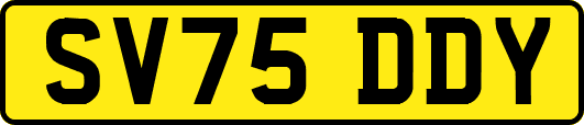 SV75DDY