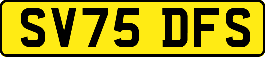 SV75DFS