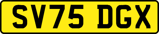 SV75DGX