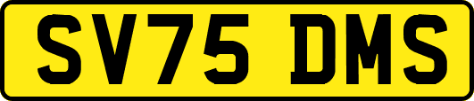 SV75DMS