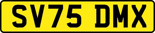 SV75DMX