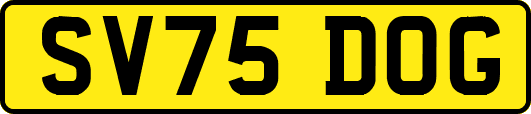 SV75DOG