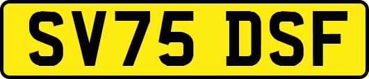 SV75DSF