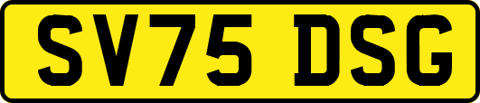 SV75DSG