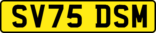 SV75DSM