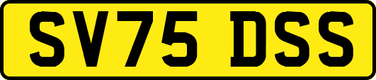 SV75DSS