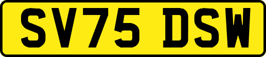 SV75DSW