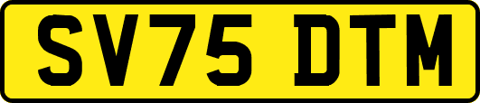 SV75DTM