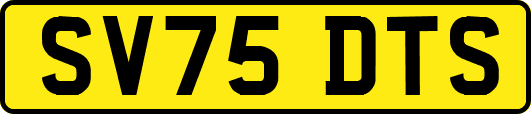SV75DTS