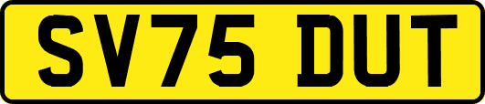 SV75DUT