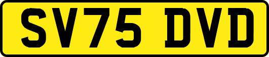 SV75DVD