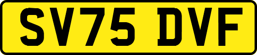 SV75DVF