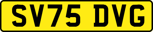 SV75DVG